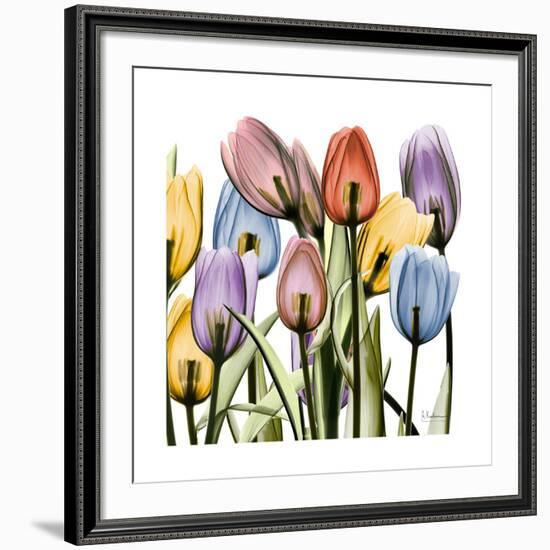 Tulipscape-Albert Koetsier-Framed Giclee Print