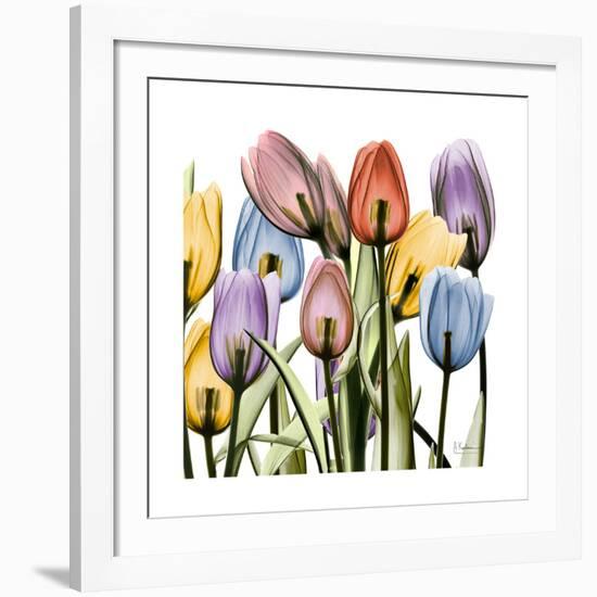 Tulipscape-Albert Koetsier-Framed Giclee Print