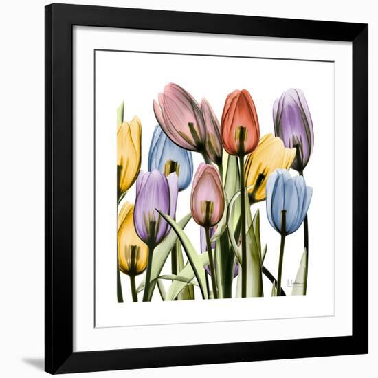 Tulipscape-Albert Koetsier-Framed Giclee Print