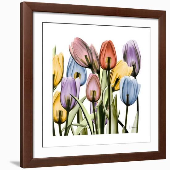 Tulipscape-Albert Koetsier-Framed Giclee Print