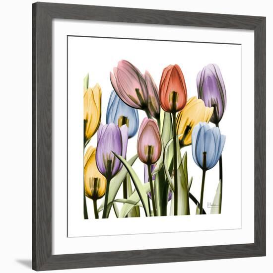 Tulipscape-Albert Koetsier-Framed Giclee Print