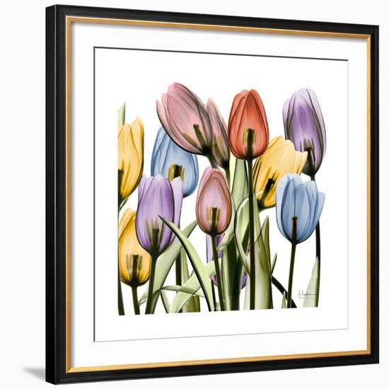 Tulipscape-Albert Koetsier-Framed Giclee Print