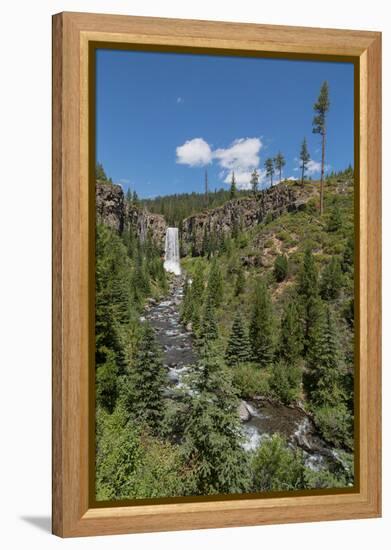 Tumalo Falls, a 97-foot waterfall on Tumalo Creek, in the Cascade Range west of Bend, Oregon, Unite-Martin Child-Framed Premier Image Canvas
