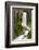 Tumalo Falls, Deschutes County, Oregon, USA-Michel Hersen-Framed Photographic Print