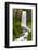 Tumalo Falls, Deschutes County, Oregon, USA-Michel Hersen-Framed Photographic Print