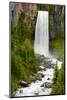 Tumalo Falls, Deschutes County, Oregon, USA-Michel Hersen-Mounted Photographic Print