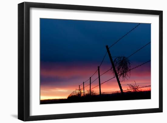 Tumble Weed-Dan Ballard-Framed Photographic Print