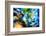 Tumble-Ursula Abresch-Framed Photographic Print