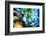 Tumble-Ursula Abresch-Framed Photographic Print