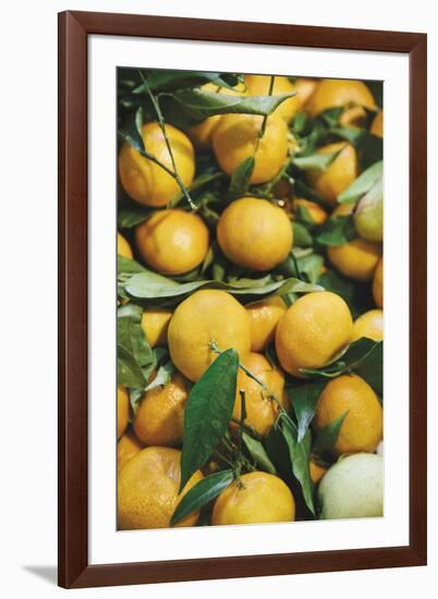 Tumbled Oranges-Irene Suchocki-Framed Giclee Print