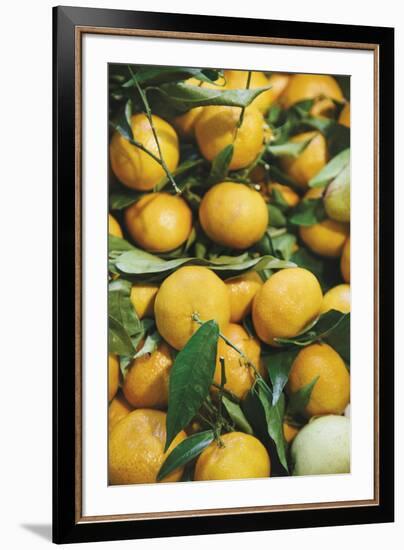 Tumbled Oranges-Irene Suchocki-Framed Giclee Print