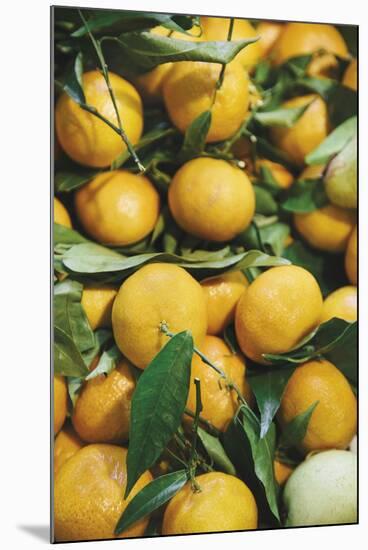 Tumbled Oranges-Irene Suchocki-Mounted Giclee Print
