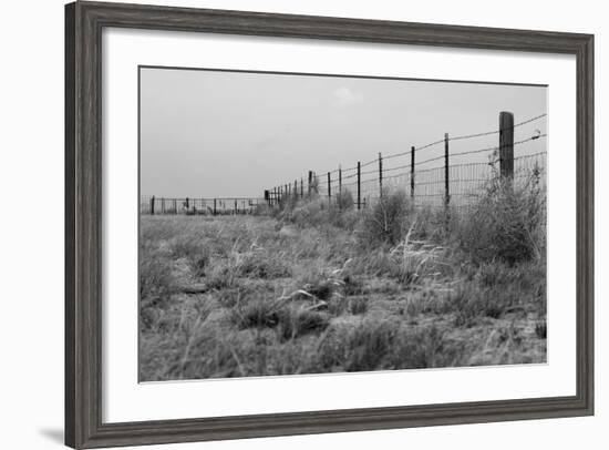 Tumbleweed Fences and Sheep-Amanda Lee Smith-Framed Photographic Print