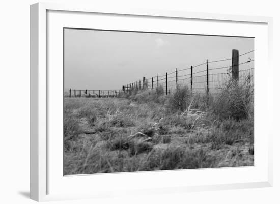 Tumbleweed Fences and Sheep-Amanda Lee Smith-Framed Photographic Print