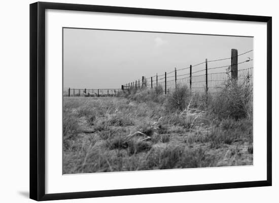 Tumbleweed Fences and Sheep-Amanda Lee Smith-Framed Photographic Print