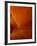 Tumbleweed on Ledge in Antelope Canyon, Page, Arizona, USA-Adam Jones-Framed Photographic Print