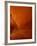 Tumbleweed on Ledge in Antelope Canyon, Page, Arizona, USA-Adam Jones-Framed Photographic Print