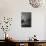 Tumbleweed on Ledge in Antelope Canyon, Page, Arizona, USA-Adam Jones-Photographic Print displayed on a wall