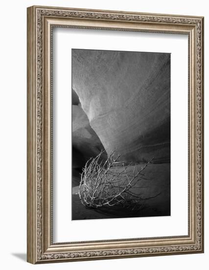 Tumbleweed on Ledge in Antelope Canyon, Page, Arizona, USA-Adam Jones-Framed Photographic Print