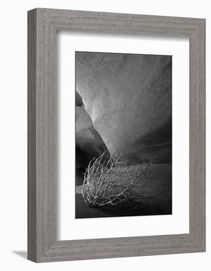 Tumbleweed on Ledge in Antelope Canyon, Page, Arizona, USA-Adam Jones-Framed Photographic Print