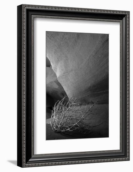 Tumbleweed on Ledge in Antelope Canyon, Page, Arizona, USA-Adam Jones-Framed Photographic Print