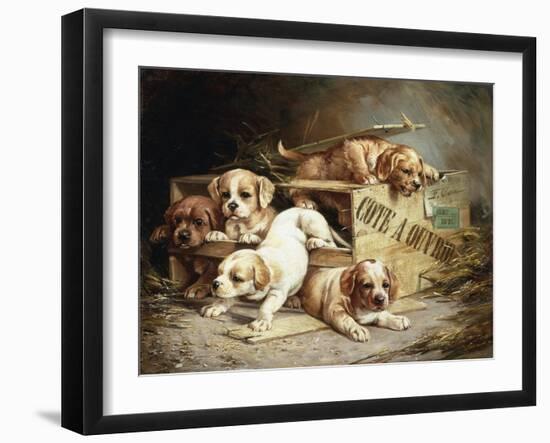 Tumbling Retriever Puppies-Frederico Olaria-Framed Giclee Print