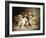 Tumbling Retriever Puppies-Frederico Olaria-Framed Giclee Print