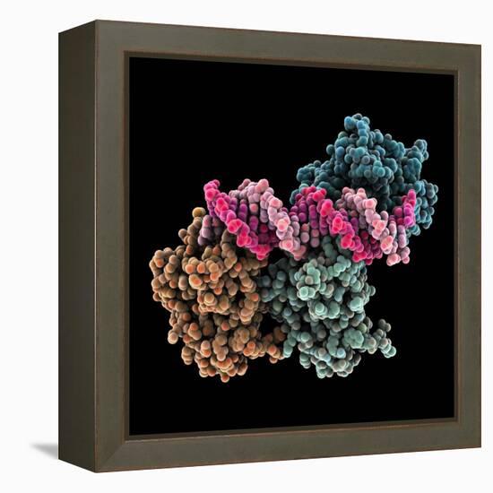 Tumour Suppressor P53 with DNA-Laguna Design-Framed Premier Image Canvas