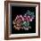 Tumour Suppressor P53 with DNA-Laguna Design-Framed Premium Photographic Print