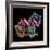 Tumour Suppressor P53 with DNA-Laguna Design-Framed Premium Photographic Print