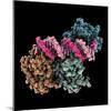 Tumour Suppressor P53 with DNA-Laguna Design-Mounted Premium Photographic Print