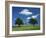 Tumuli, Pitstone Hill, Beside the Chilterns Ridgeway Path, Buckinghamshire, England, United Kingdom-David Hughes-Framed Photographic Print