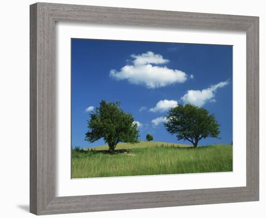 Tumuli, Pitstone Hill, Beside the Chilterns Ridgeway Path, Buckinghamshire, England, United Kingdom-David Hughes-Framed Photographic Print