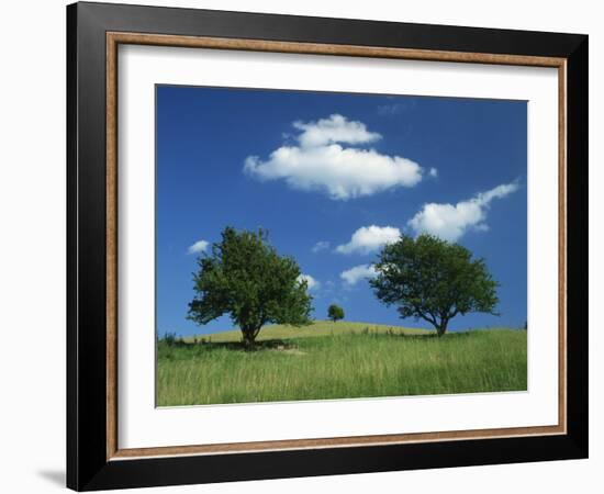 Tumuli, Pitstone Hill, Beside the Chilterns Ridgeway Path, Buckinghamshire, England, United Kingdom-David Hughes-Framed Photographic Print