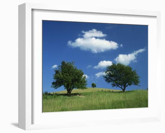 Tumuli, Pitstone Hill, Beside the Chilterns Ridgeway Path, Buckinghamshire, England, United Kingdom-David Hughes-Framed Photographic Print