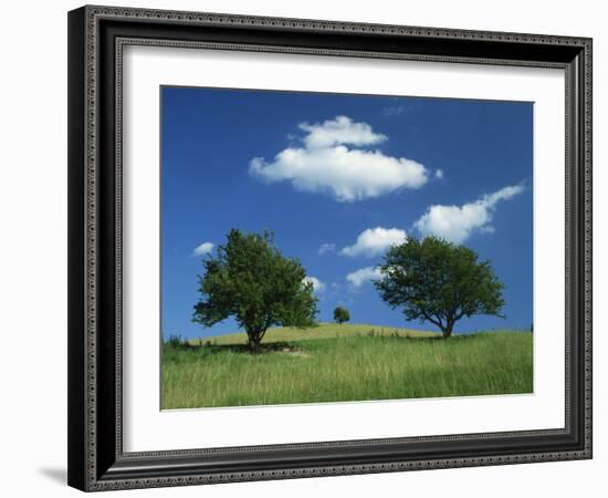 Tumuli, Pitstone Hill, Beside the Chilterns Ridgeway Path, Buckinghamshire, England, United Kingdom-David Hughes-Framed Photographic Print