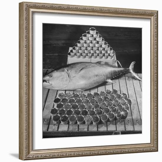 Tuna and Cans of Tuna-Allan Grant-Framed Photographic Print