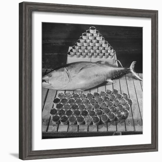 Tuna and Cans of Tuna-Allan Grant-Framed Photographic Print