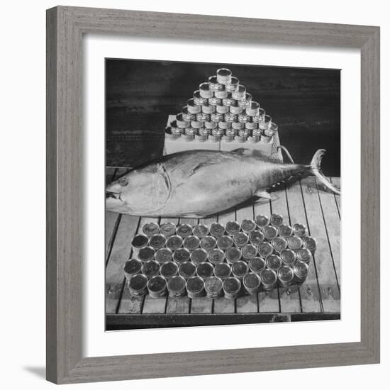 Tuna and Cans of Tuna-Allan Grant-Framed Photographic Print