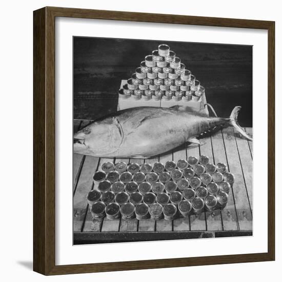 Tuna and Cans of Tuna-Allan Grant-Framed Photographic Print