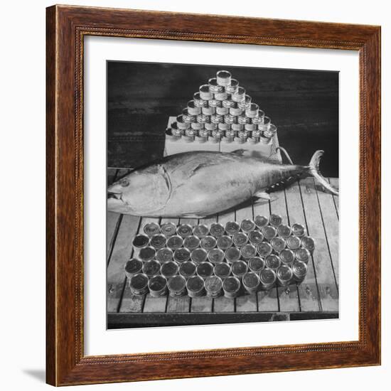 Tuna and Cans of Tuna-Allan Grant-Framed Photographic Print