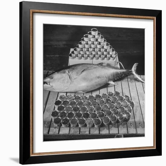 Tuna and Cans of Tuna-Allan Grant-Framed Photographic Print