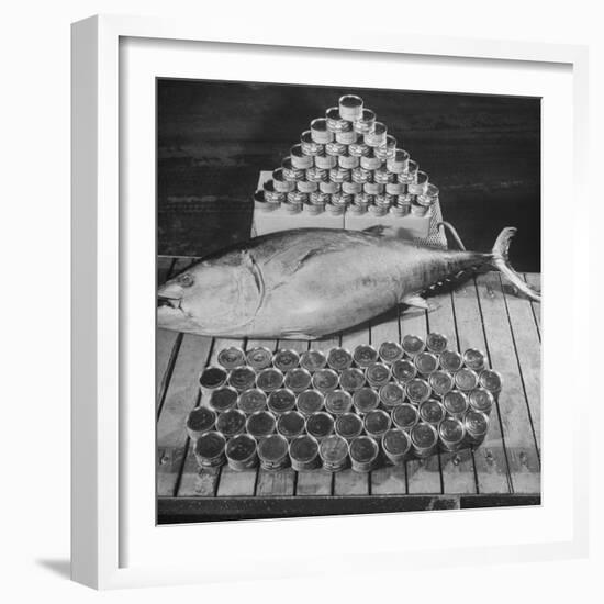 Tuna and Cans of Tuna-Allan Grant-Framed Photographic Print