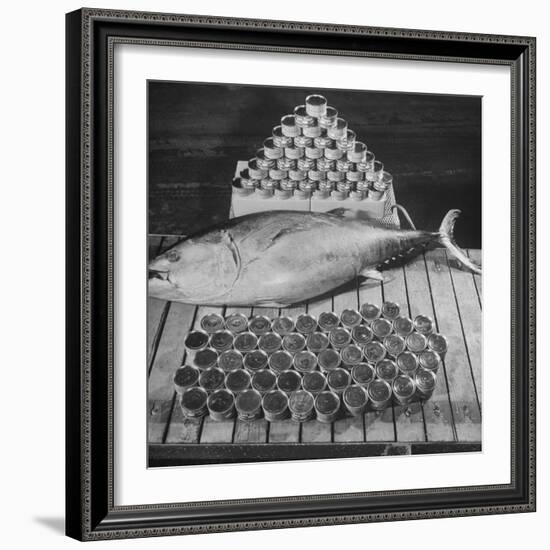 Tuna and Cans of Tuna-Allan Grant-Framed Photographic Print