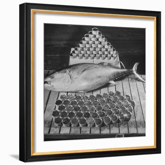 Tuna and Cans of Tuna-Allan Grant-Framed Photographic Print