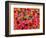 Tundra Fall Colors, Denali National Park, Alaska, USA-Darrell Gulin-Framed Photographic Print