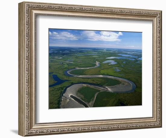 Tundra in Alaska-Danny Lehman-Framed Photographic Print