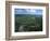 Tundra in Alaska-Danny Lehman-Framed Photographic Print