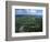 Tundra in Alaska-Danny Lehman-Framed Photographic Print