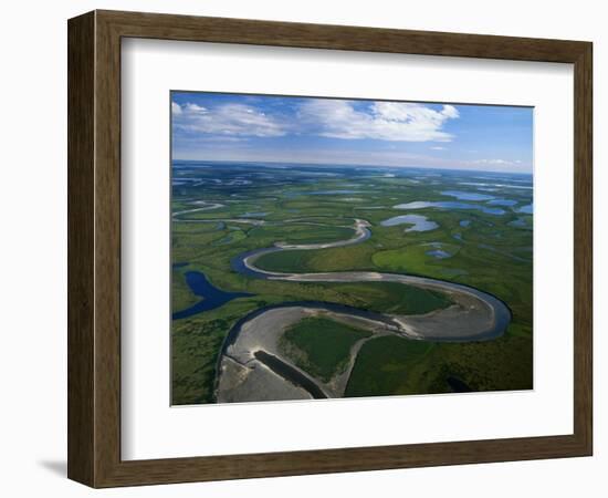 Tundra in Alaska-Danny Lehman-Framed Photographic Print